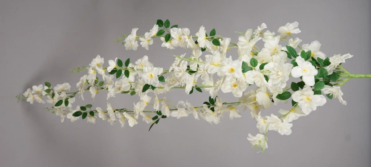 Delphinium Creeper 150cm